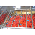 Línea de procesamiento de tomate automático